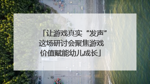 让游戏真实“发声” 这场研讨会聚焦游戏价值赋能幼儿成长