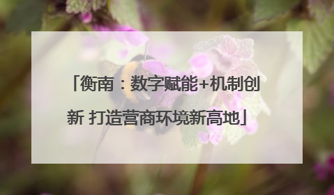 衡南：数字赋能+机制创新 打造营商环境新高地