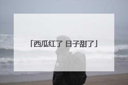 西瓜红了 日子甜了
