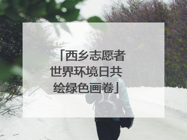 西乡志愿者世界环境日共绘绿色画卷