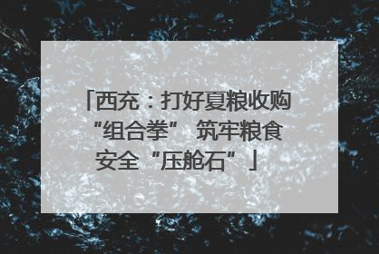 西充：打好夏粮收购“组合拳” 筑牢粮食安全“压舱石”