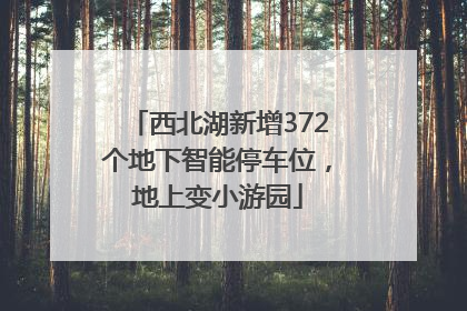 西北湖新增372个地下智能停车位，地上变小游园