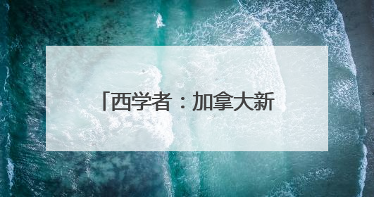 西学者：加拿大新政带给欧洲的启示