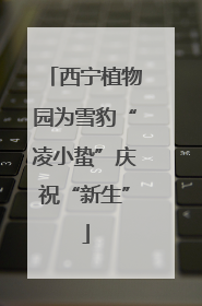 西宁植物园为雪豹“凌小蛰”庆祝“新生”