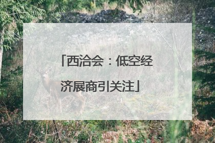 西洽会：低空经济展商引关注