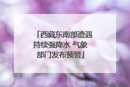 西藏东南部遭遇持续强降水 气象部门发布预警