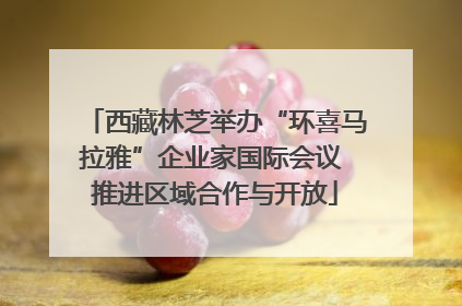 西藏林芝举办“环喜马拉雅”企业家国际会议 推进区域合作与开放