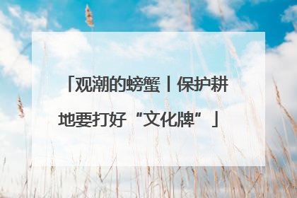 观潮的螃蟹丨保护耕地要打好“文化牌”