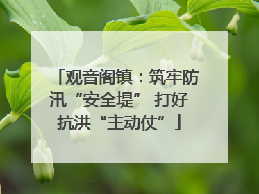 观音阁镇：筑牢防汛“安全堤” 打好抗洪“主动仗”
