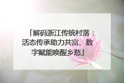 解码浙江传统村落：活态传承助力共富、数字赋能唤醒乡愁