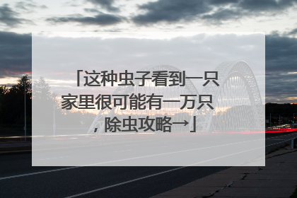 这种虫子看到一只家里很可能有一万只，除虫攻略→