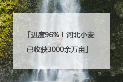 进度96%！河北小麦已收获3000余万亩