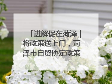 进解促在菏泽｜将政策送上门，菏泽市自贸协定政策专题宣讲会召开