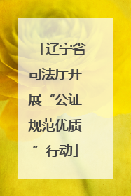 辽宁省司法厅开展“公证规范优质”行动