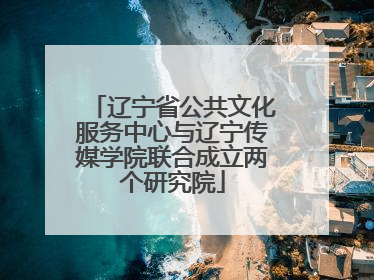 辽宁省公共文化服务中心与辽宁传媒学院联合成立两个研究院
