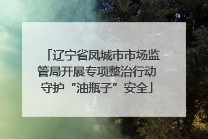 辽宁省凤城市市场监管局开展专项整治行动守护“油瓶子”安全