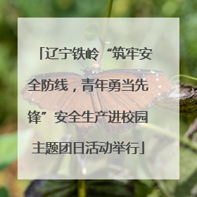 辽宁铁岭“筑牢安全防线，青年勇当先锋”安全生产进校园主题团日活动举行