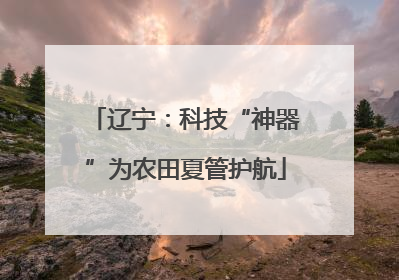 辽宁：科技“神器”为农田夏管护航
