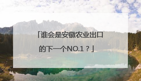 谁会是安徽农业出口的下一个NO.1？