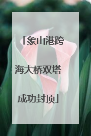 象山港跨海大桥双塔成功封顶