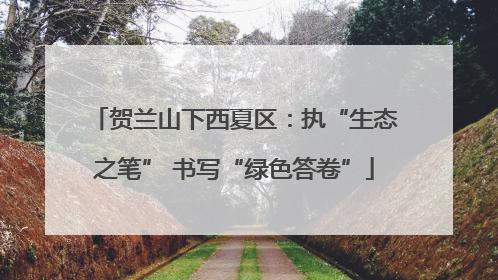 贺兰山下西夏区：执“生态之笔” 书写“绿色答卷”