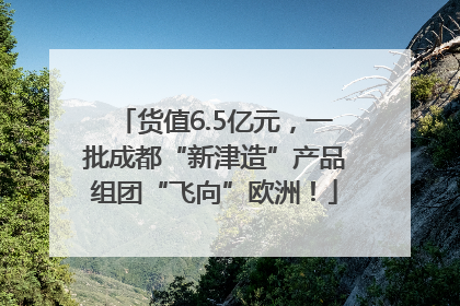 货值6.5亿元，一批成都“新津造”产品组团“飞向”欧洲！