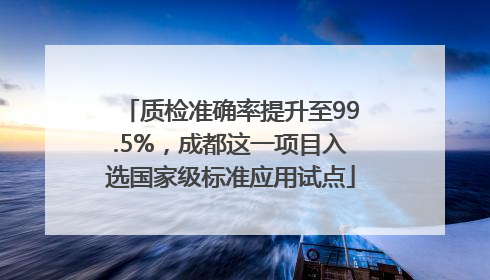 质检准确率提升至99.5%，成都这一项目入选国家级标准应用试点