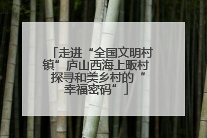 走进“全国文明村镇”庐山西海上畈村 探寻和美乡村的“幸福密码”