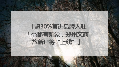 超30%首进品牌入驻！亳都有新象，郑州文商旅新IP将“上线”