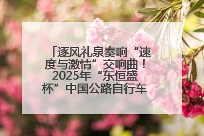 逐风礼泉奏响“速度与激情”交响曲！2025年“东恒盛杯”中国公路自行车联赛第五站（陕西·礼泉站）正式开赛