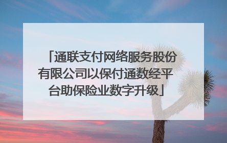 通联支付网络服务股份有限公司以保付通数经平台助保险业数字升级