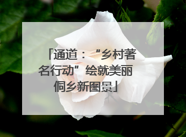 通道：“乡村著名行动”绘就美丽侗乡新图景