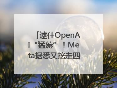 逮住OpenAI“猛薅”！Meta据悉又挖走四位知名研究人员