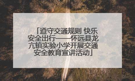 遵守交通规则 快乐安全出行——怀远县龙亢镇实验小学开展交通安全教育宣讲活动