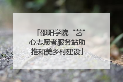 邵阳学院“艺”心志愿者服务站助推和美乡村建设