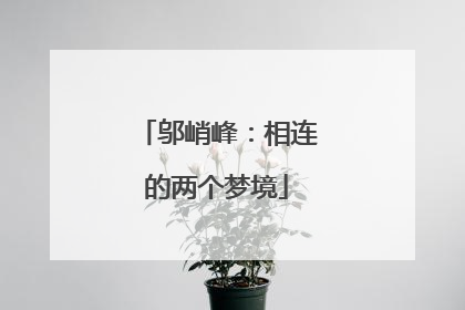 邬峭峰：相连的两个梦境