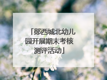 郧西城北幼儿园开展期末考核测评活动