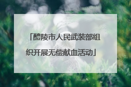 醴陵市人民武装部组织开展无偿献血活动