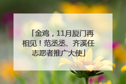 金鸡，11月厦门再相见！范丞丞、齐溪任志愿者推广大使