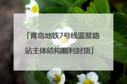 青岛地铁7号线蓝鳌路站主体结构顺利封顶