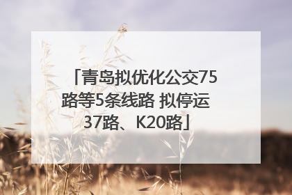 青岛拟优化公交75路等5条线路 拟停运37路、K20路