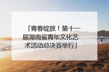 青春绽放！第十一届湖南省青年文化艺术活动总决赛举行