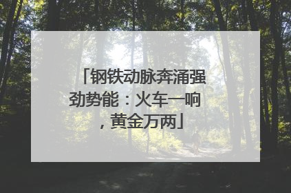 钢铁动脉奔涌强劲势能：火车一响，黄金万两