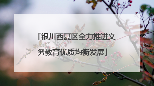 银川西夏区全力推进义务教育优质均衡发展