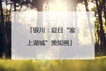 银川：夏日“塞上湖城”美如画
