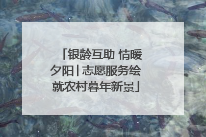 银龄互助 情暖夕阳│志愿服务绘就农村暮年新景