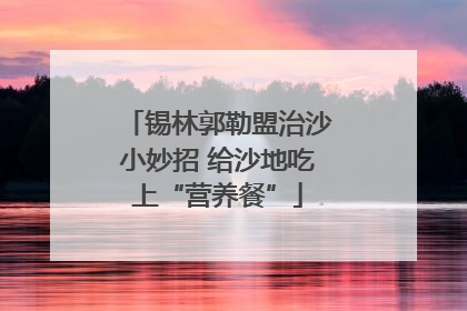 锡林郭勒盟治沙小妙招 给沙地吃上“营养餐”
