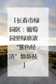 长春市绿园区：葡萄园里绿意浓 “紫色经济”焕新枝