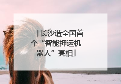 长沙造全国首个“智能押运机器人”亮相