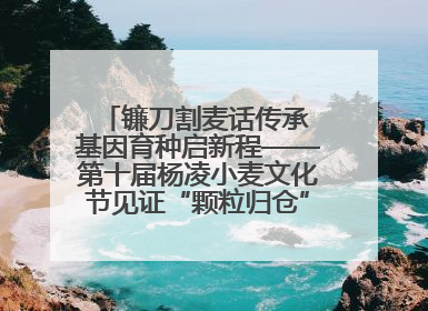 镰刀割麦话传承 基因育种启新程——第十届杨凌小麦文化节见证“颗粒归仓”时空跨越